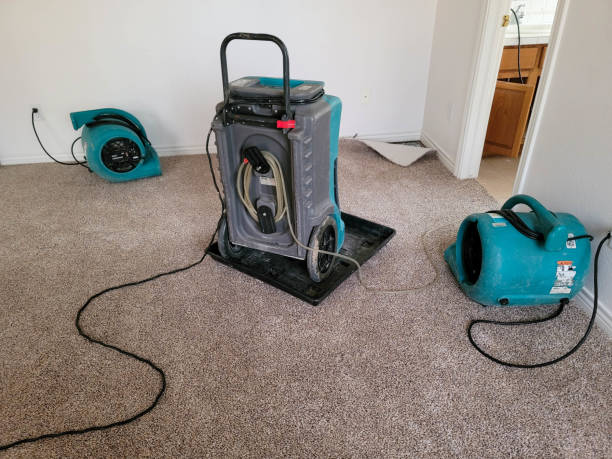 Best Commercial water damage restoration  in Boston, MA