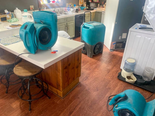 Best Residential water damage restoration  in Boston, MA