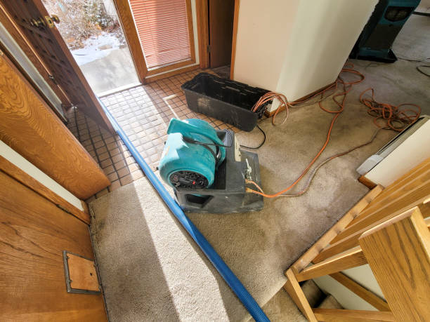 Carpet water damage restoration in MA