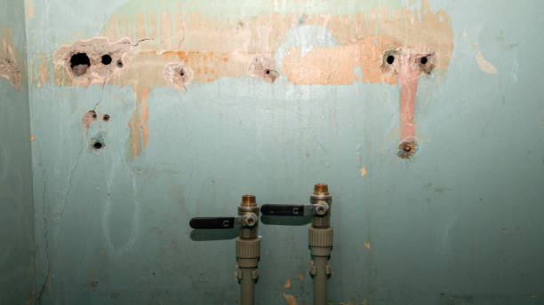 Best Flood restoration services  in Boston, MA