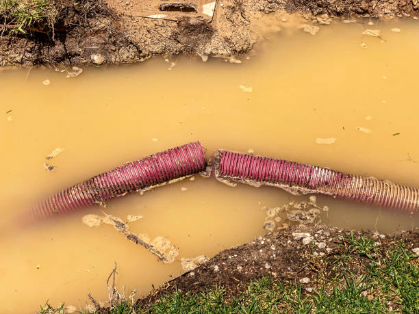 Best Water damage restoration near me  in Boston, MA
