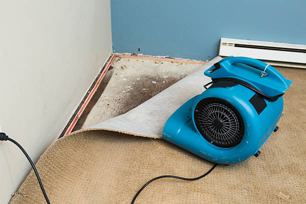 Best Sewage cleanup and water damage restoration  in Boston, MA